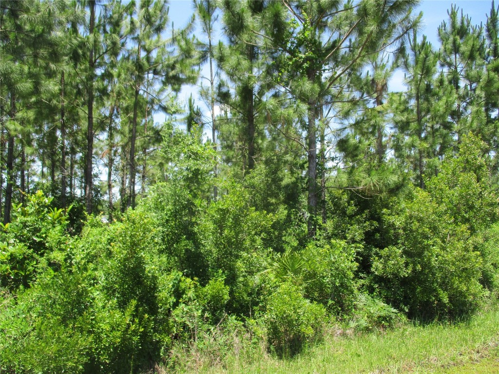 West 10th Avenue Hilliard, FL 32046 - Photo 6 of 10