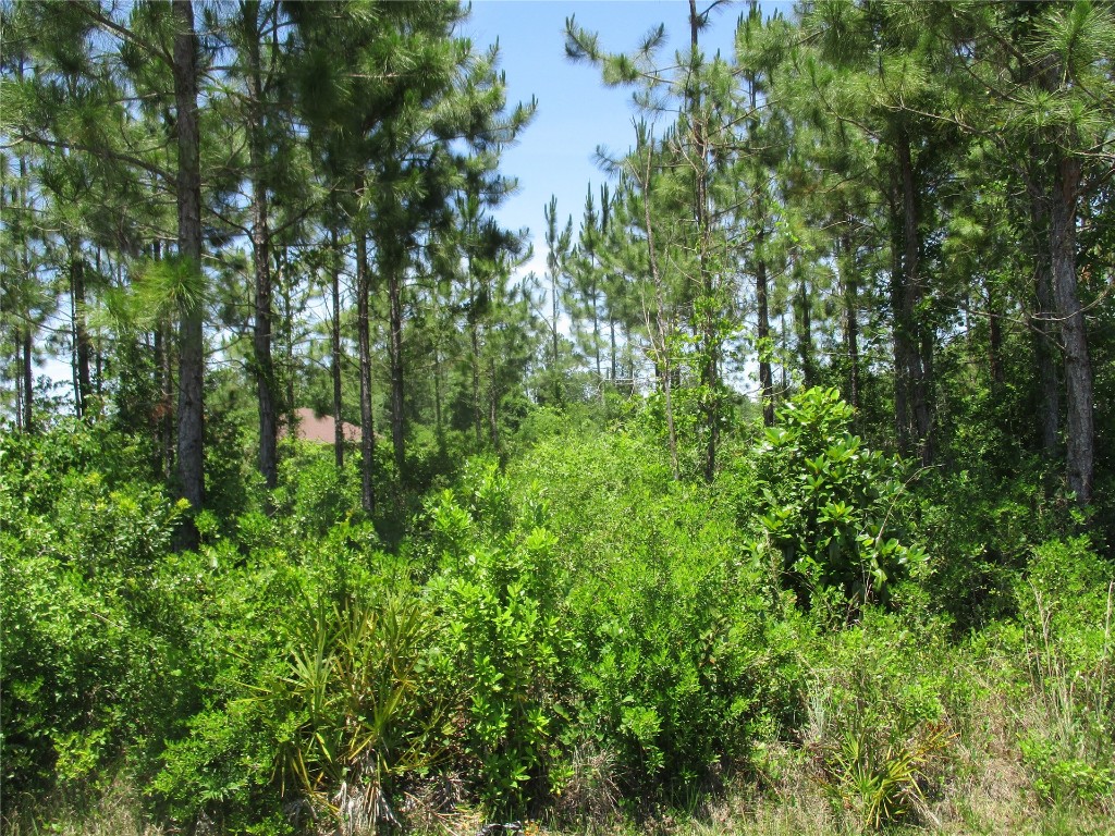 West 10th Avenue Hilliard, FL 32046 - Photo 9 of 10