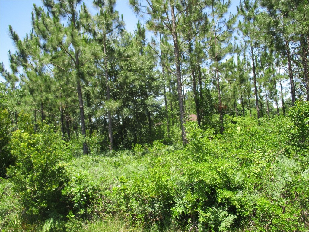 West 10th Avenue Hilliard, FL 32046 - Photo 10 of 10