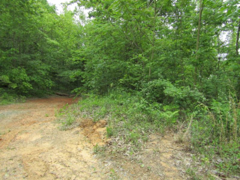 Lot 3 Red Oak Ridge Road Celina, TN 38551 - Photo 13 of 20 05122020 038