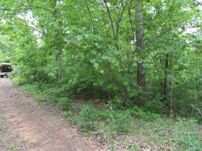 Lot 3 Red Oak Ridge Road Celina, TN 38551 - Photo 9 of 20 05122020 030