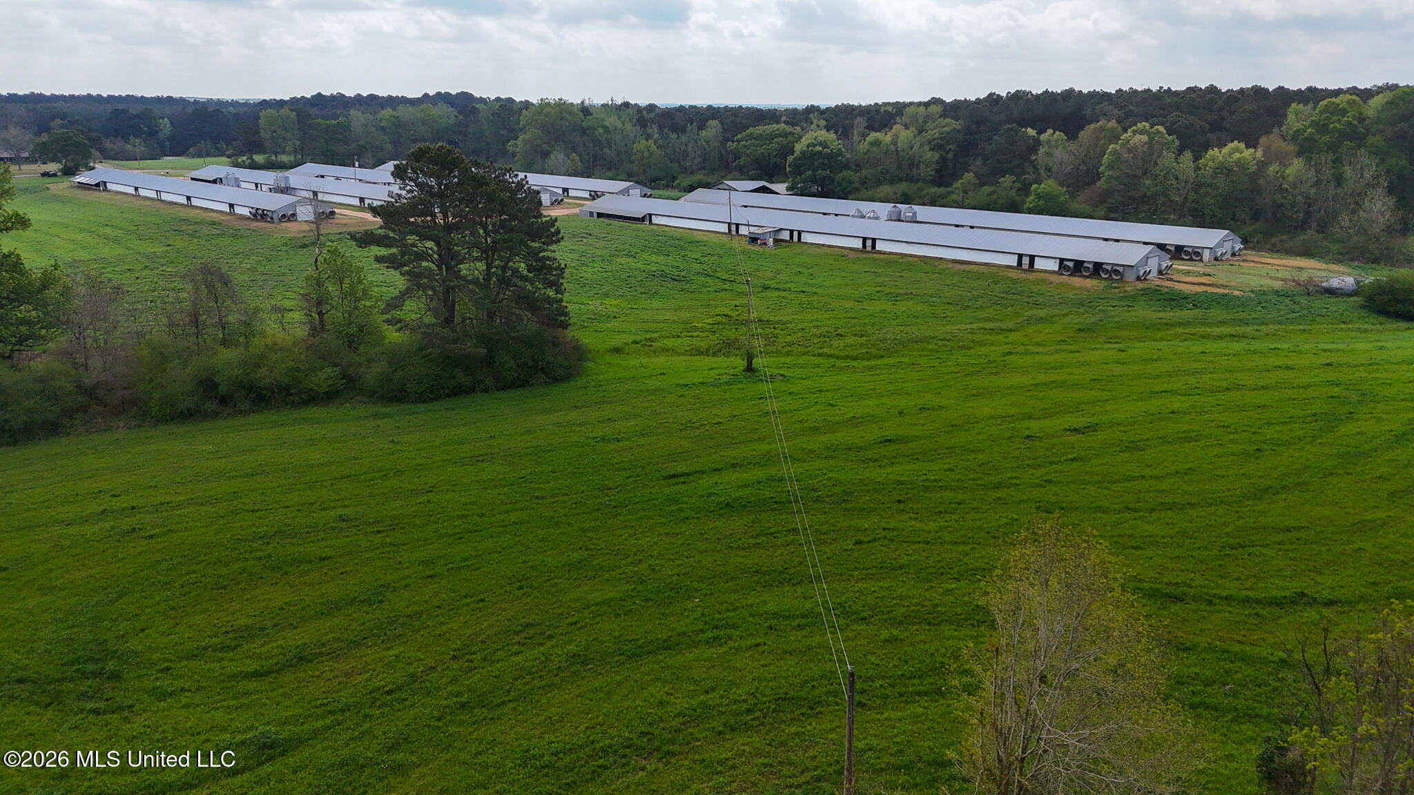 6620 Adams Road Smithdale, MS 39664 - Photo 11 of 37 DJI_20260326105445_0088_D