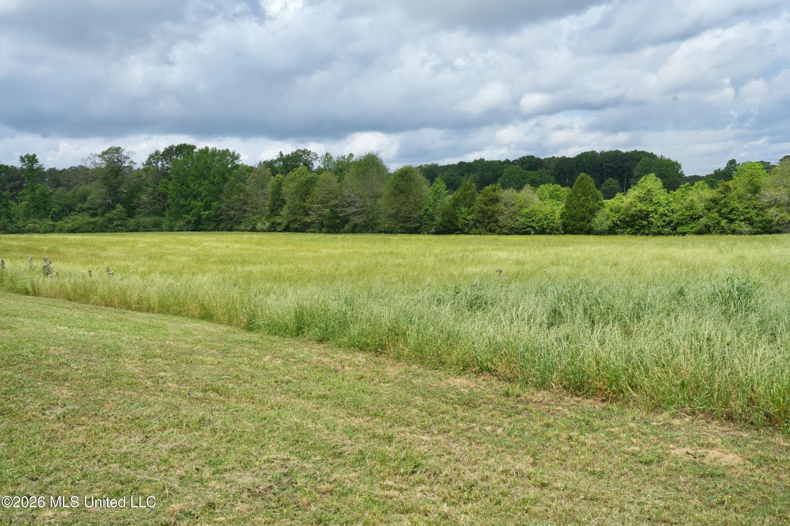 6620 Adams Road Smithdale, MS 39664 - Photo 21 of 37 DSC02185 (1)