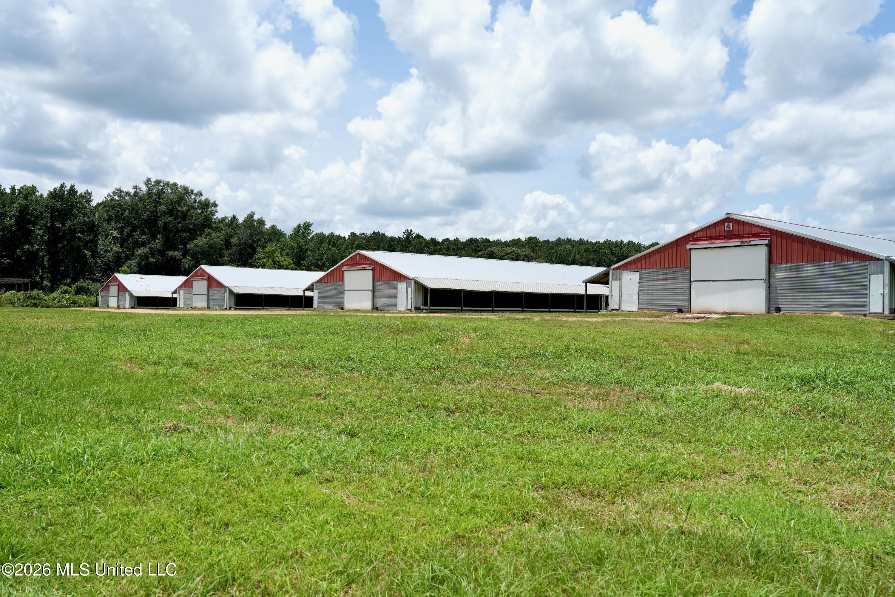 6620 Adams Road Smithdale, MS 39664 - Photo 32 of 37 DSC05991