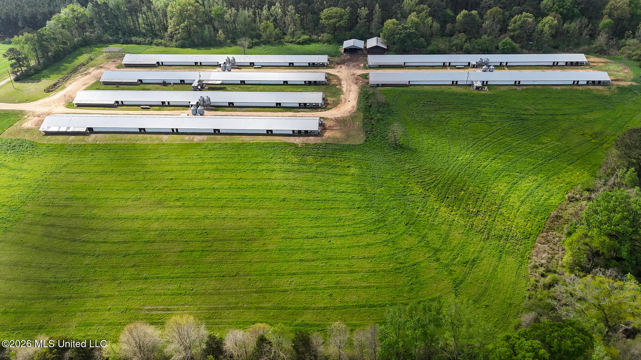 6620 Adams Road Smithdale, MS 39664 - Photo 4 of 37 DJI_20260326104930_0071_D