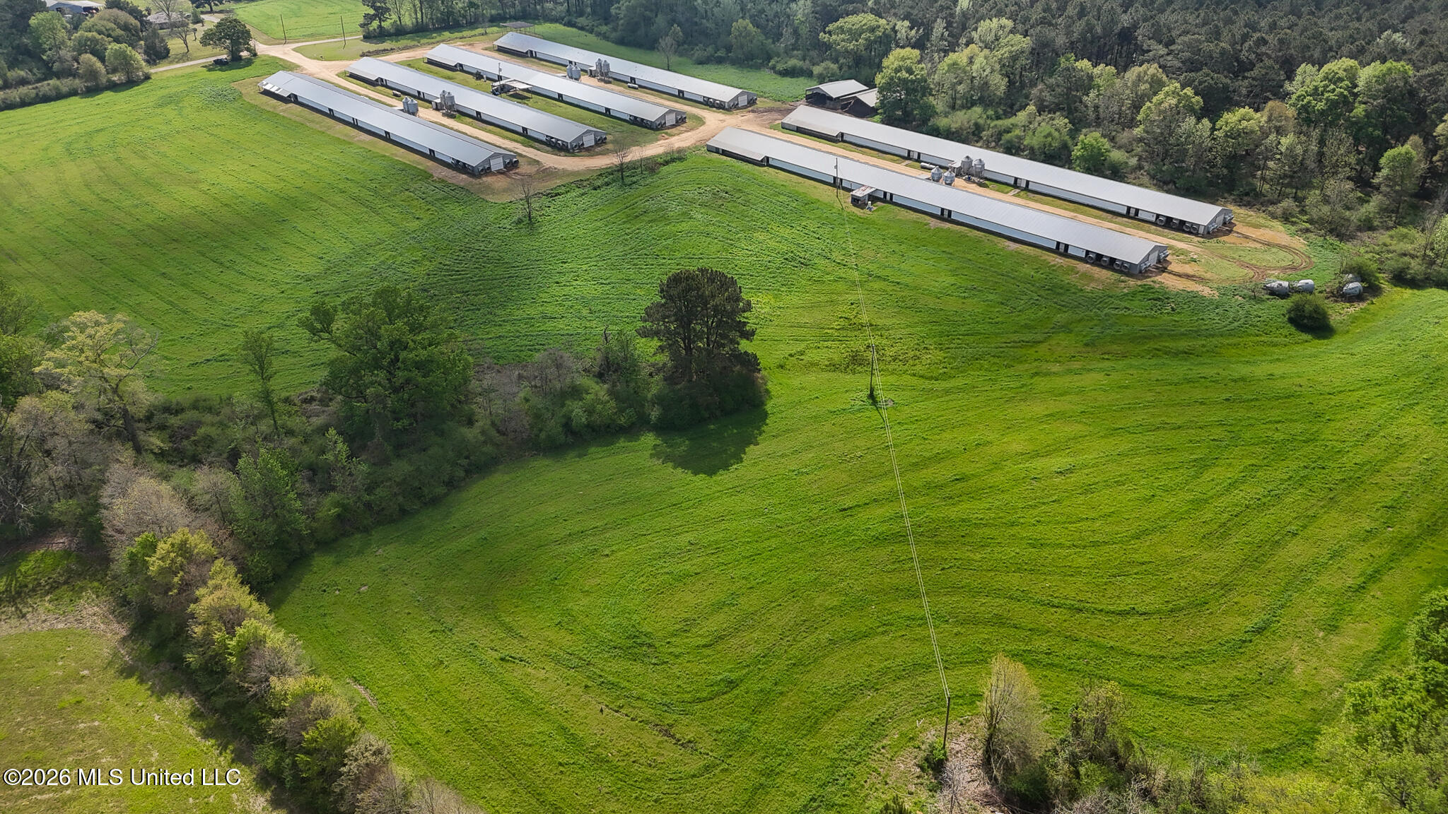 6620 Adams Road Smithdale, MS 39664 - Photo 5 of 37 DJI_20260326104959_0072_D