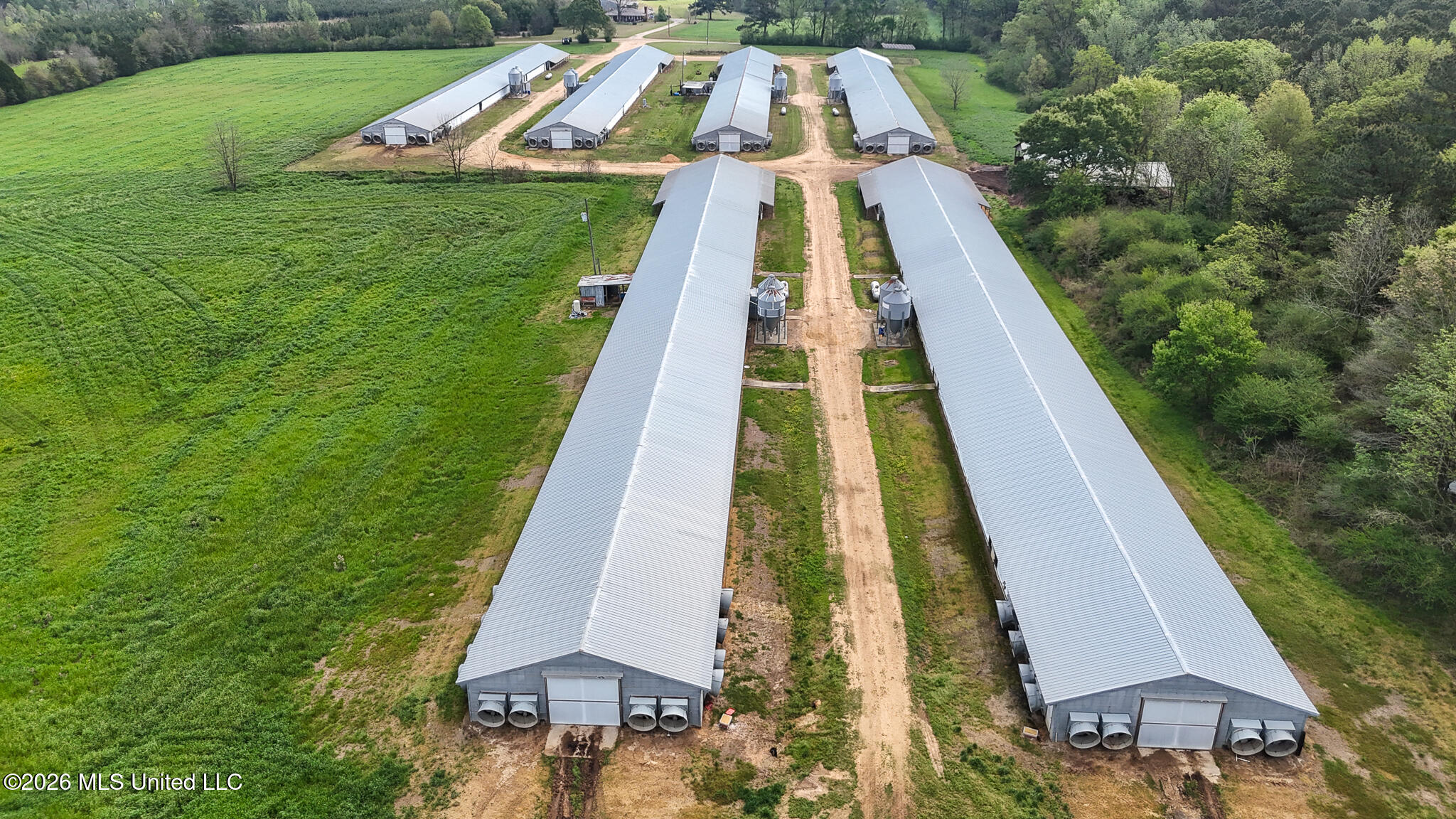 6620 Adams Road Smithdale, MS 39664 - Photo 6 of 37 DJI_20260326105136_0078_D