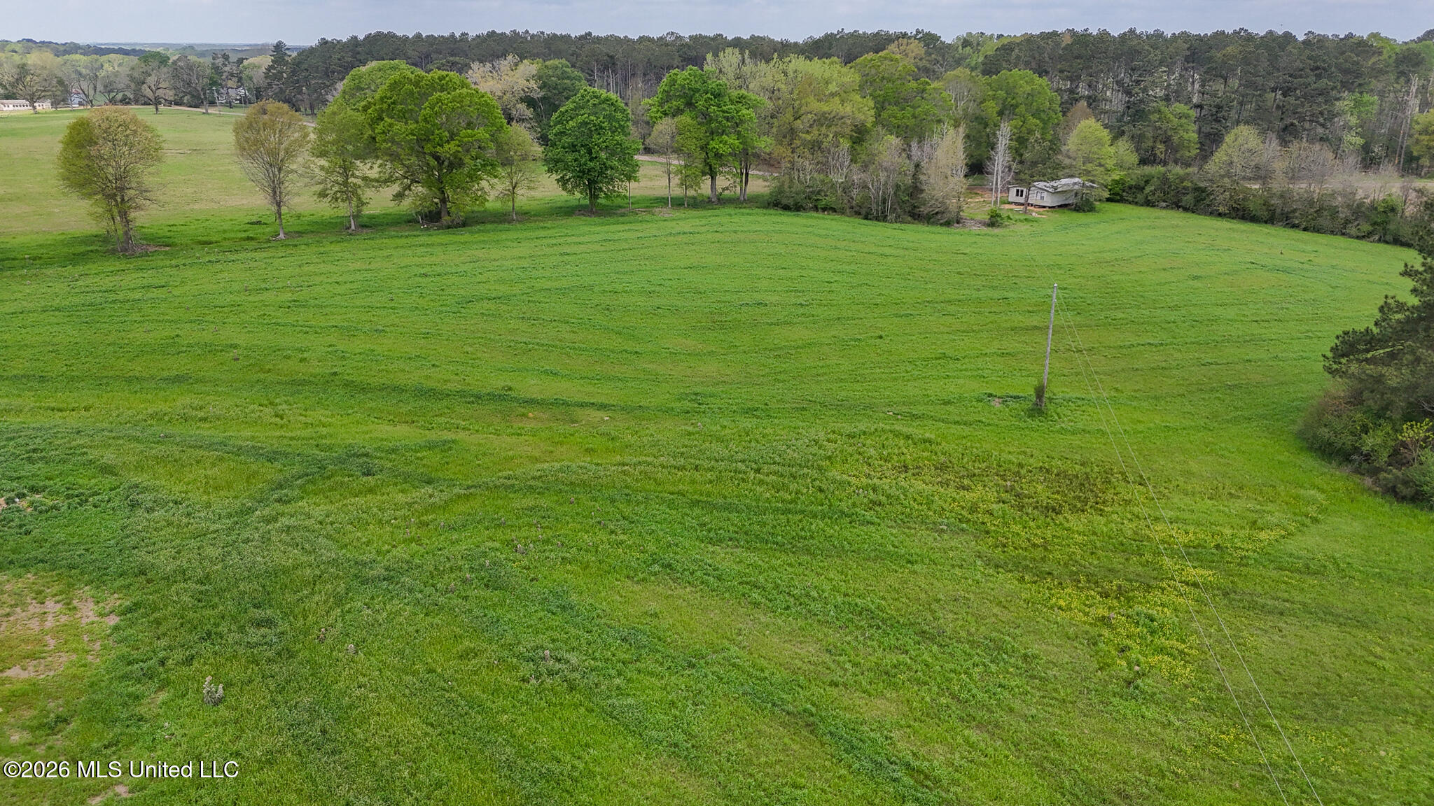 6620 Adams Road Smithdale, MS 39664 - Photo 9 of 37 DJI_20260326105328_0085_D