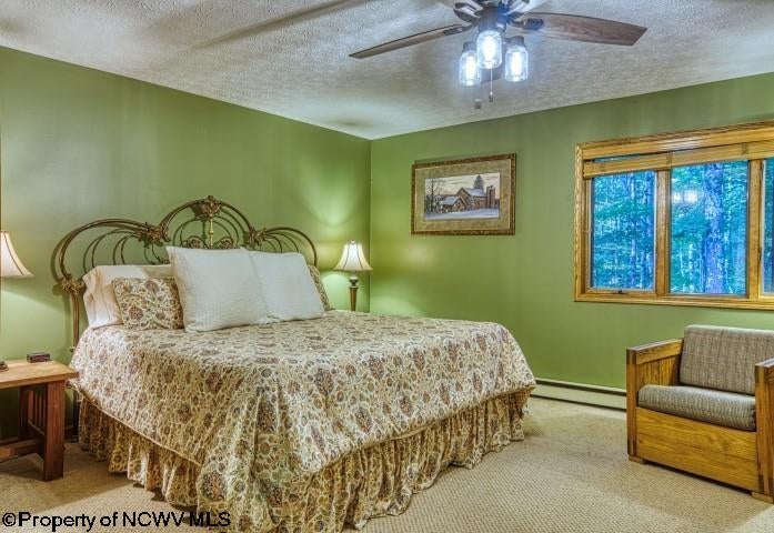 33 Brookside Road Davis, WV 26260 - Photo 6 of 20 Gallery Image 6