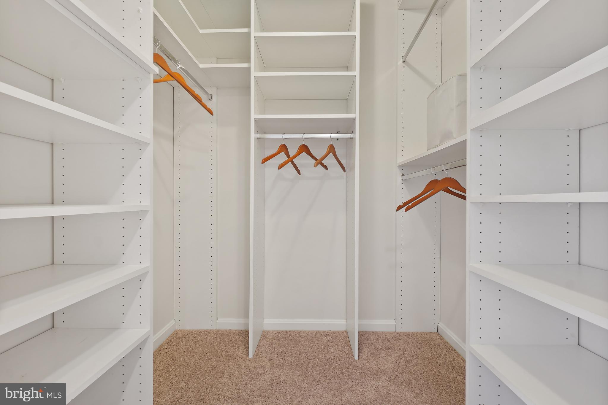 14801 Pennfield Circle, Unit 306 Silver Spring, MD 20906 - Photo 20 of 45 a view of walk in closet with empty racks