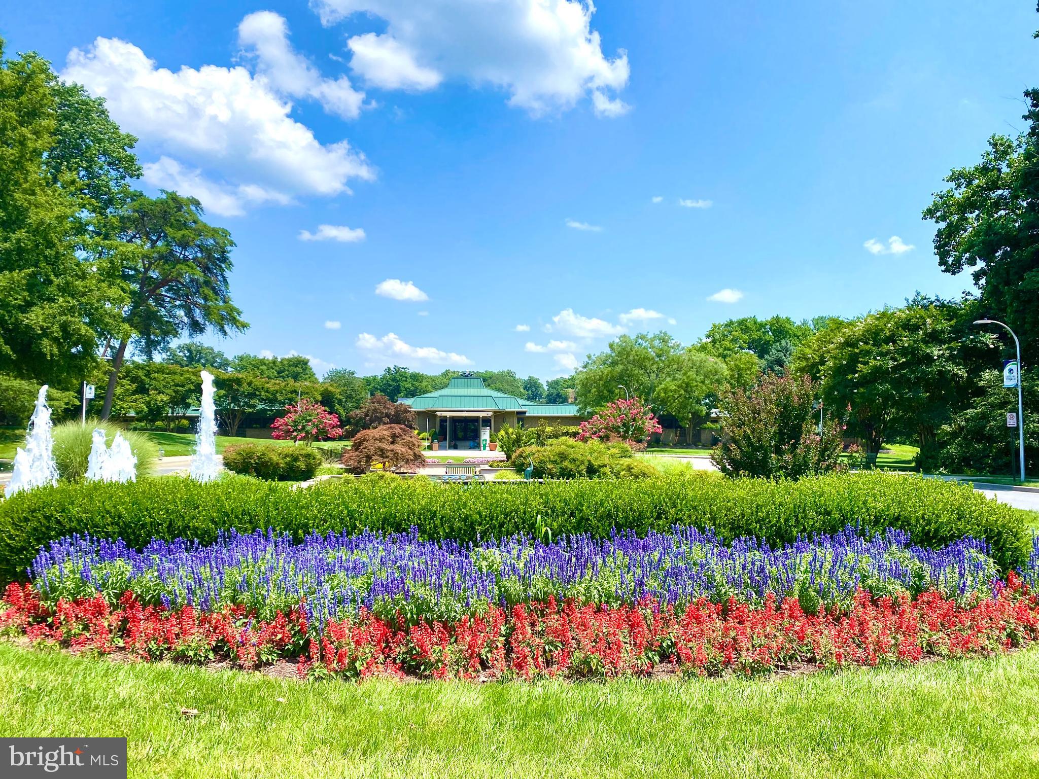 14801 Pennfield Circle, Unit 306 Silver Spring, MD 20906 - Photo 33 of 45 a view of a flower in a garden