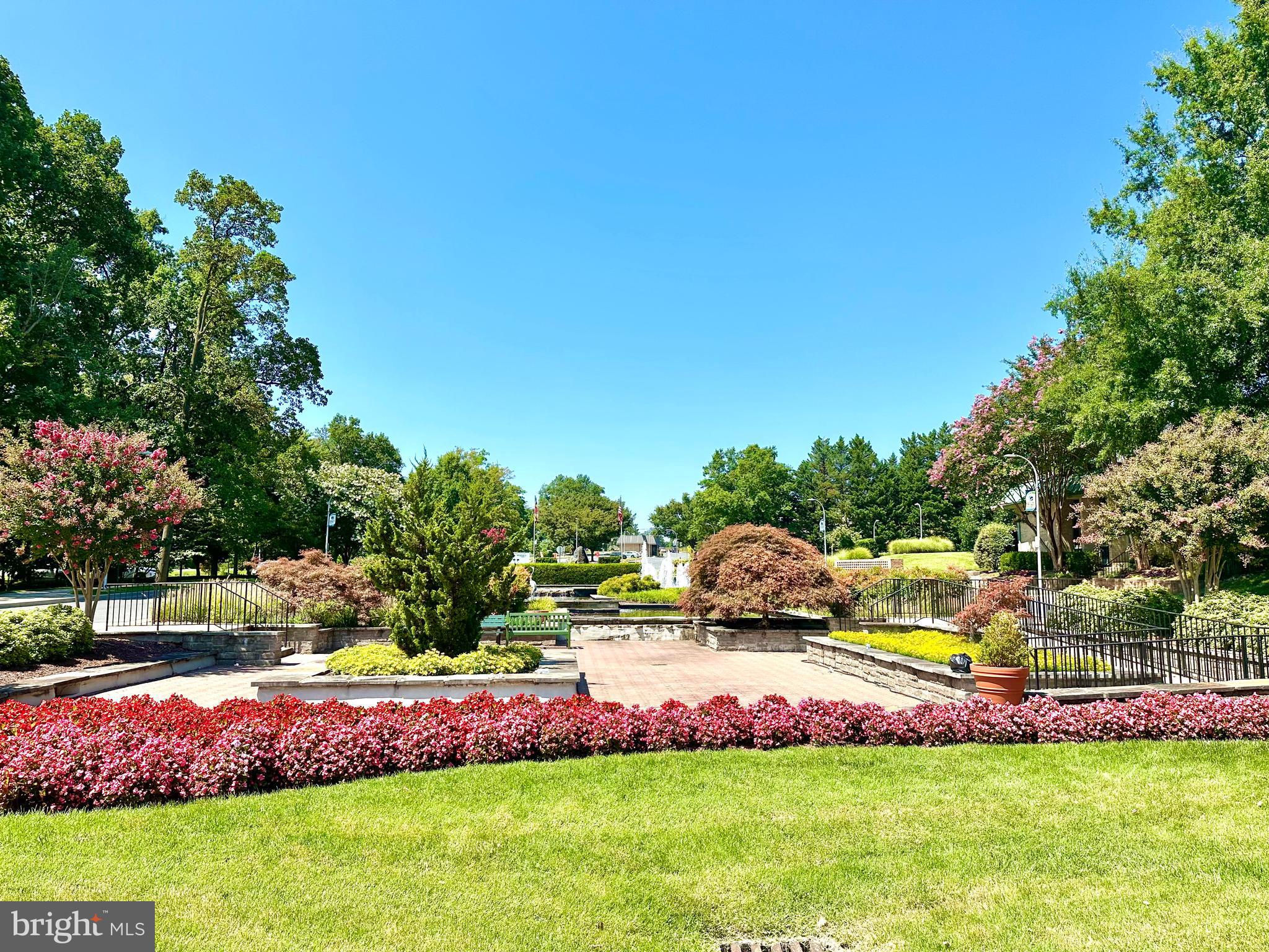 14801 Pennfield Circle, Unit 306 Silver Spring, MD 20906 - Photo 40 of 45 a view of yard with swimming pool and green space