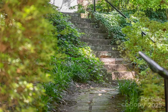 a view of a yard with plants and large trees