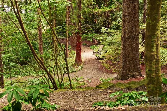 a view of a yard with plants and trees