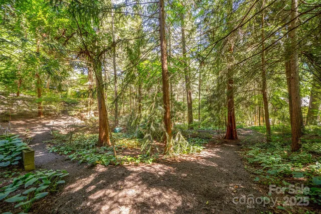 a backyard of a house with lots of green space