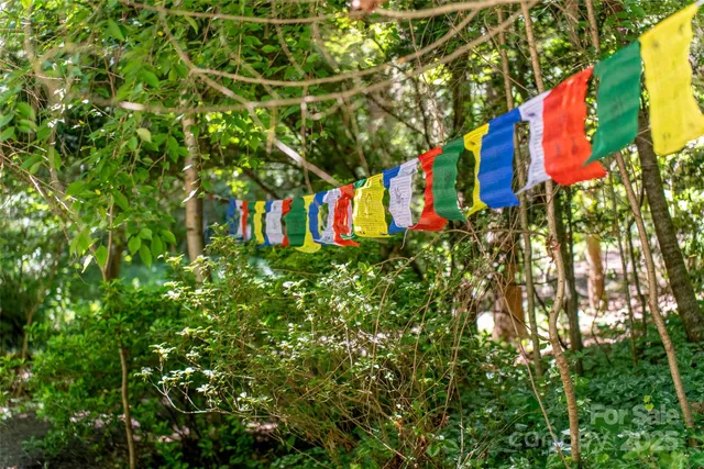 a close up of a tree