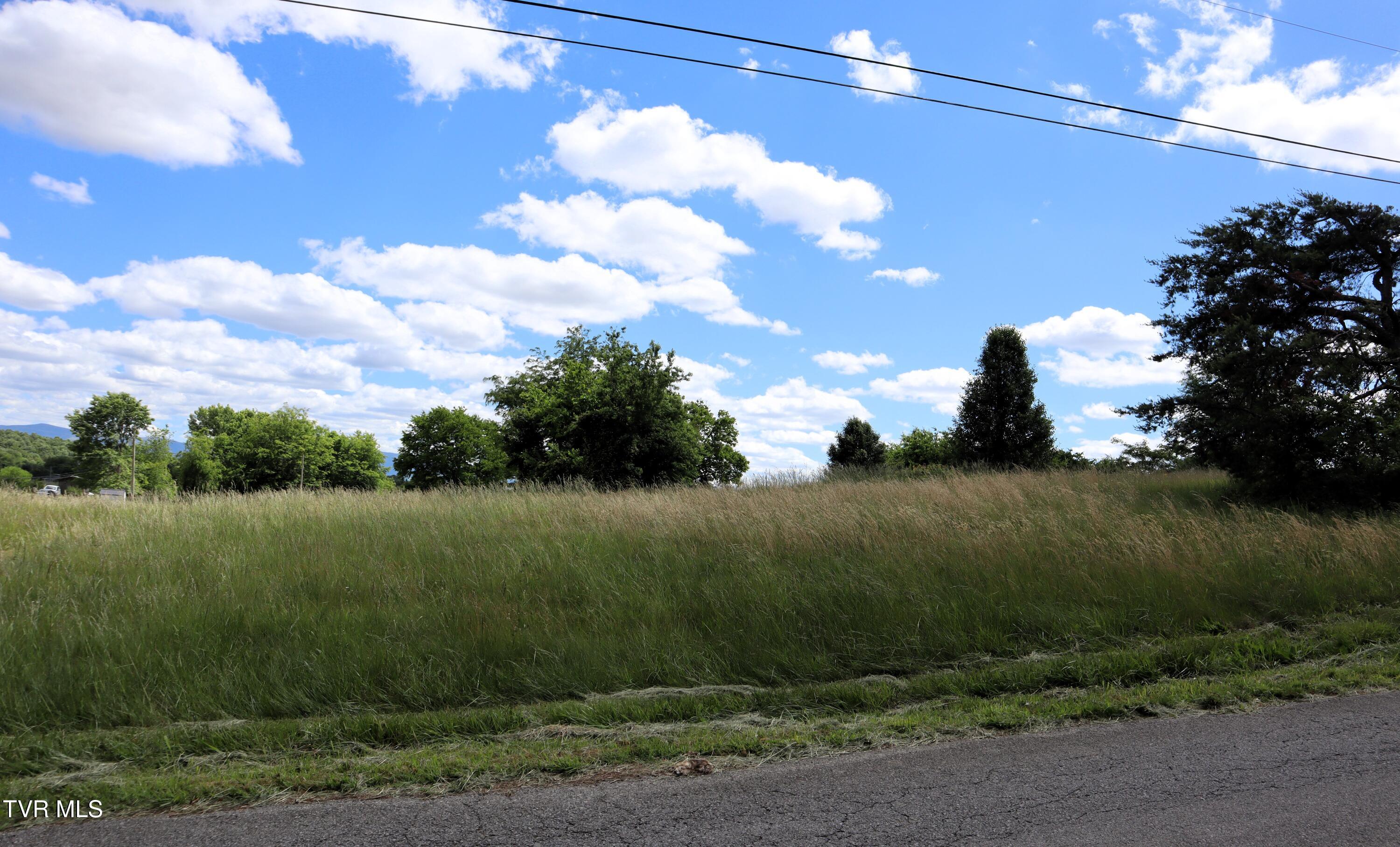 9170 Old Stage Road, Unit 2 Limestone, TN 37681 - Photo 2 of 15 IMG_0042