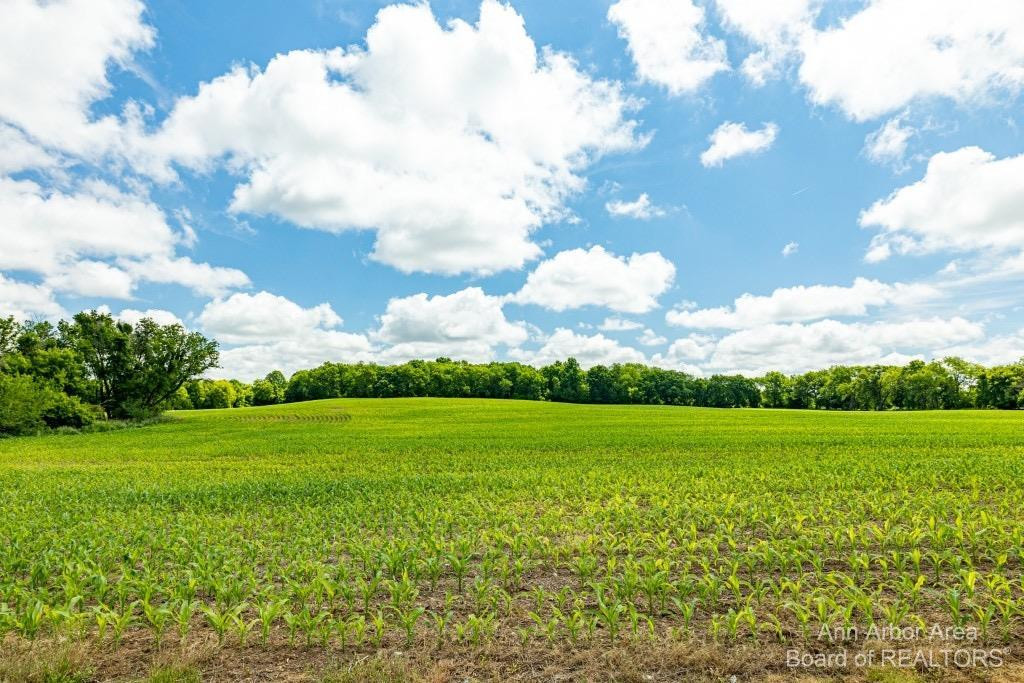 2457 Brogan Road Stockbridge, MI 49285 - Photo 12 of 77 Photo 12