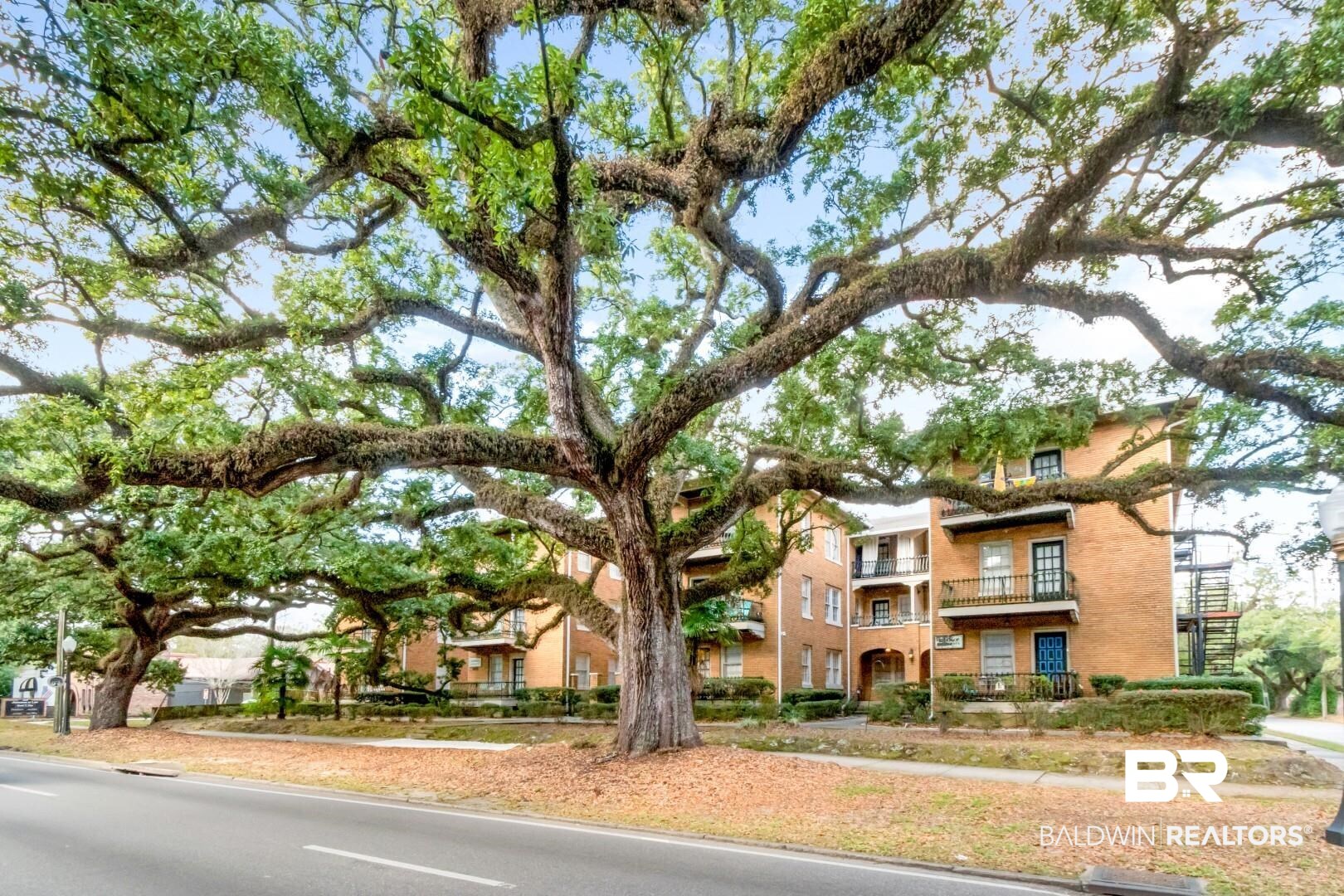1602 Government Street, Unit 1A Mobile, AL 36604 - Photo 22 of 24 View of building exterior