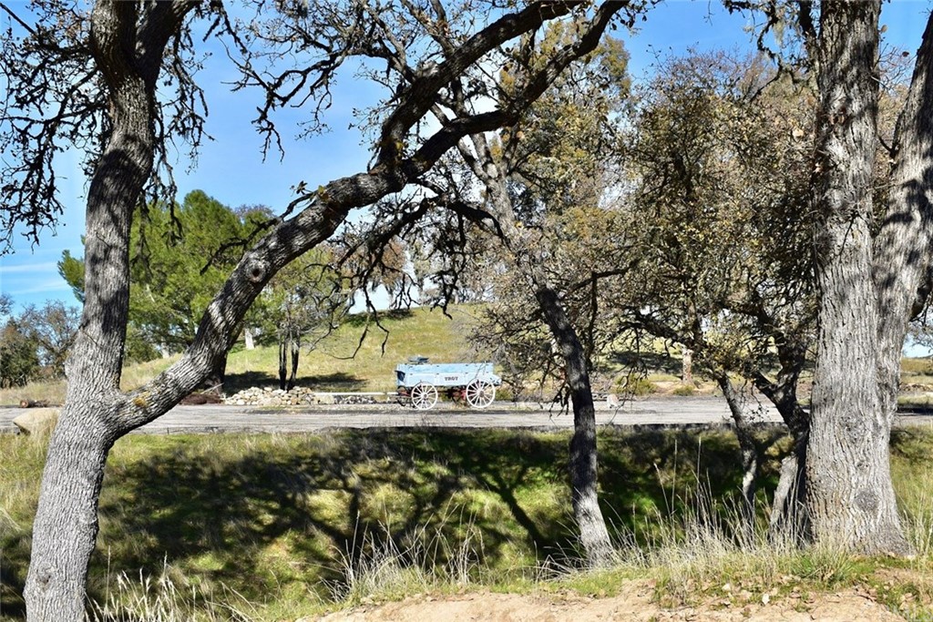 1515 Gateway Drive Paso Robles, CA 93446 - Photo 21 of 24 a view of outdoor space with trees