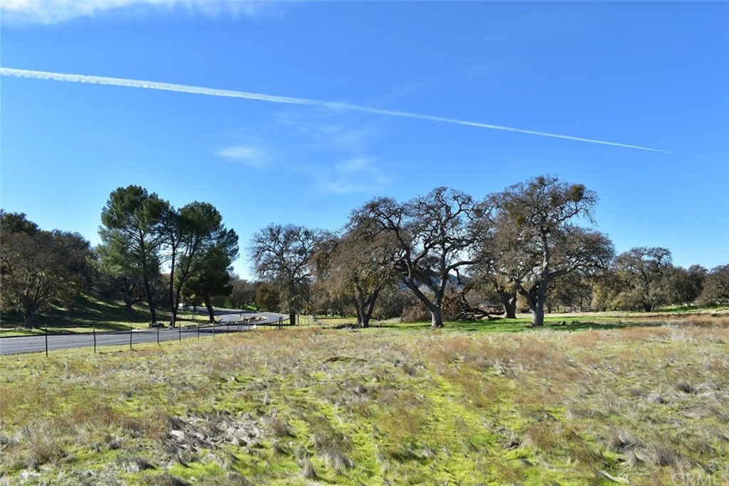 1515 Gateway Drive Paso Robles, CA 93446 - Photo 3 of 24 a view of outdoor space with deck and trees