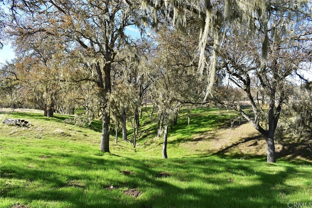 1515 Gateway Drive Paso Robles, CA 93446 - Photo 5 of 24 a view of yard