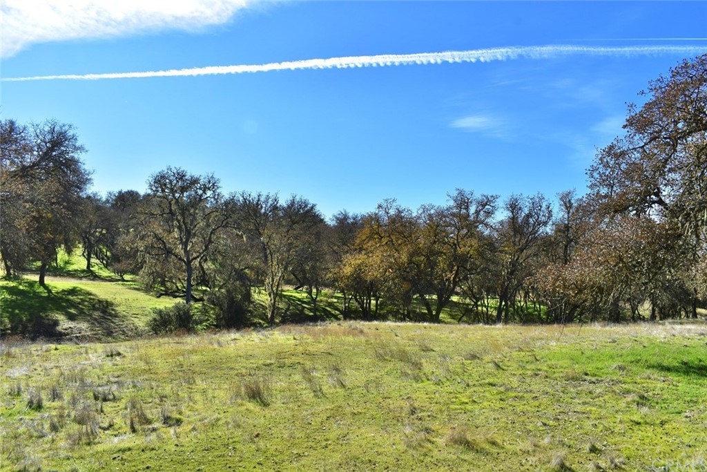 1515 Gateway Drive Paso Robles, CA 93446 - Photo 6 of 24 a view of outdoor space with trees