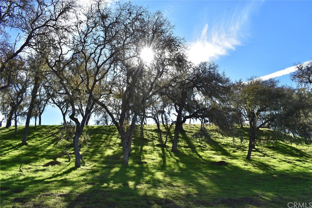 1515 Gateway Drive Paso Robles, CA 93446 - Photo 10 of 24 a backyard of a house with lots of green space