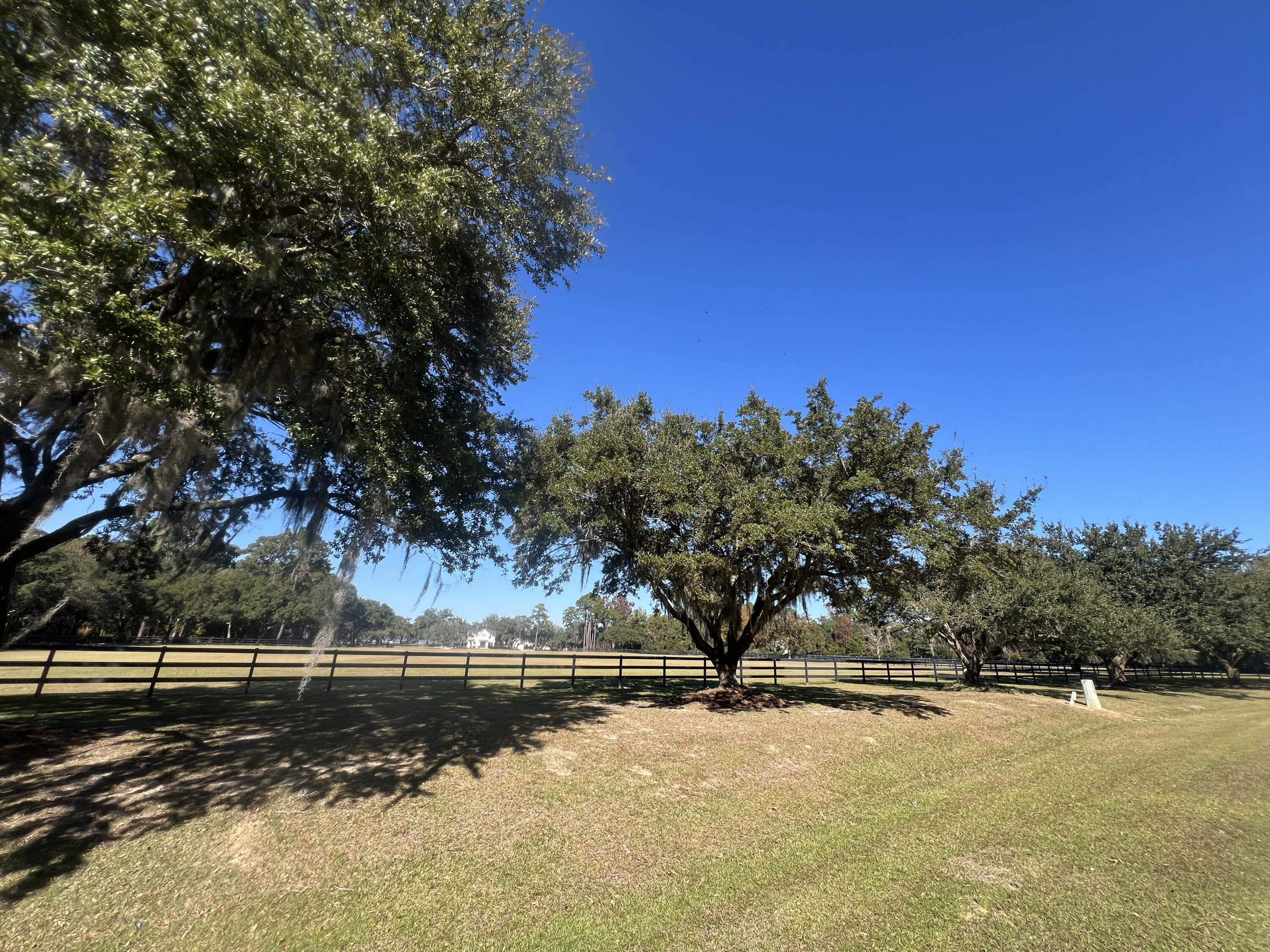 Lot 35 Josie Ridge Wadmalaw Island, SC 29487 - Photo 11 of 19 IMG_3518