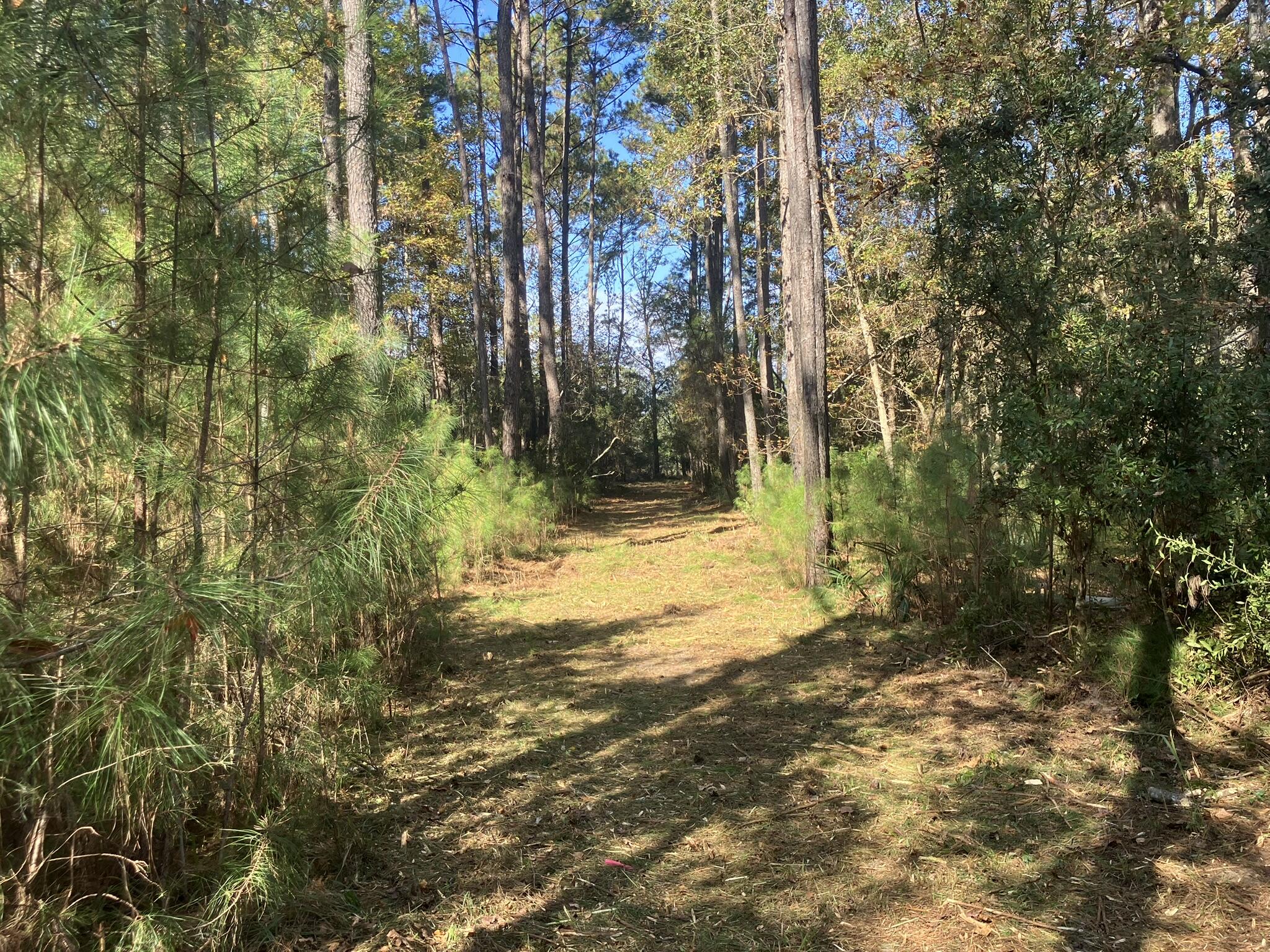 Lot 35 Josie Ridge Wadmalaw Island, SC 29487 - Photo 13 of 19 IMG_7089