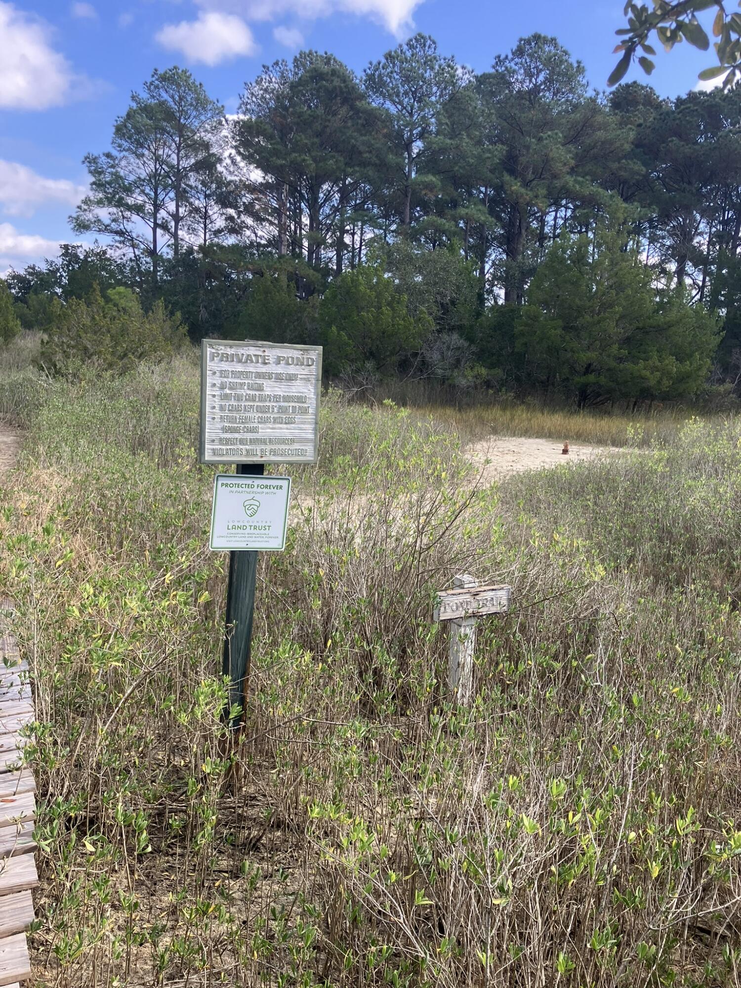 Lot 35 Josie Ridge Wadmalaw Island, SC 29487 - Photo 18 of 19 IMG_7167