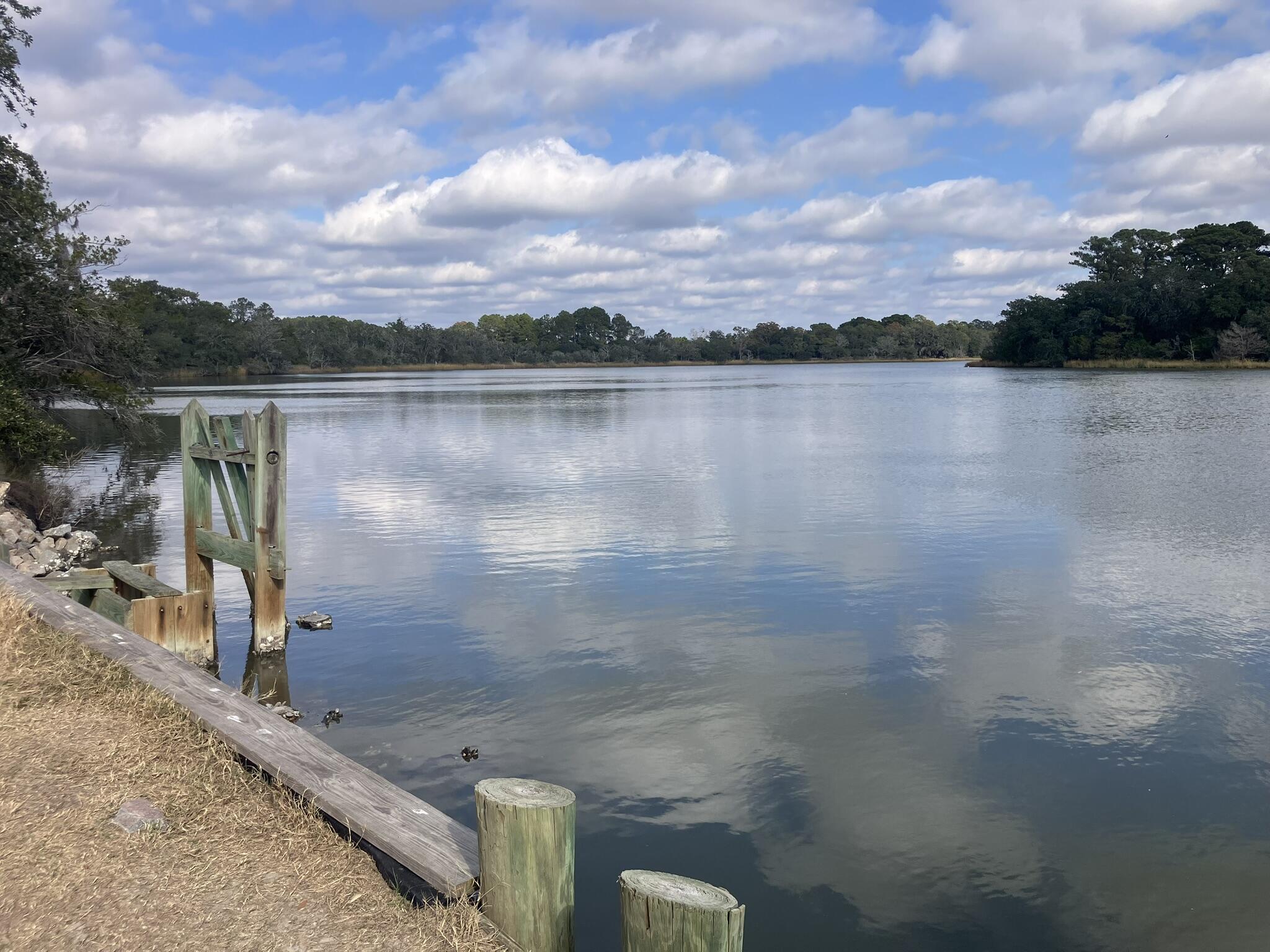 Lot 35 Josie Ridge Wadmalaw Island, SC 29487 - Photo 19 of 19 IMG_7171