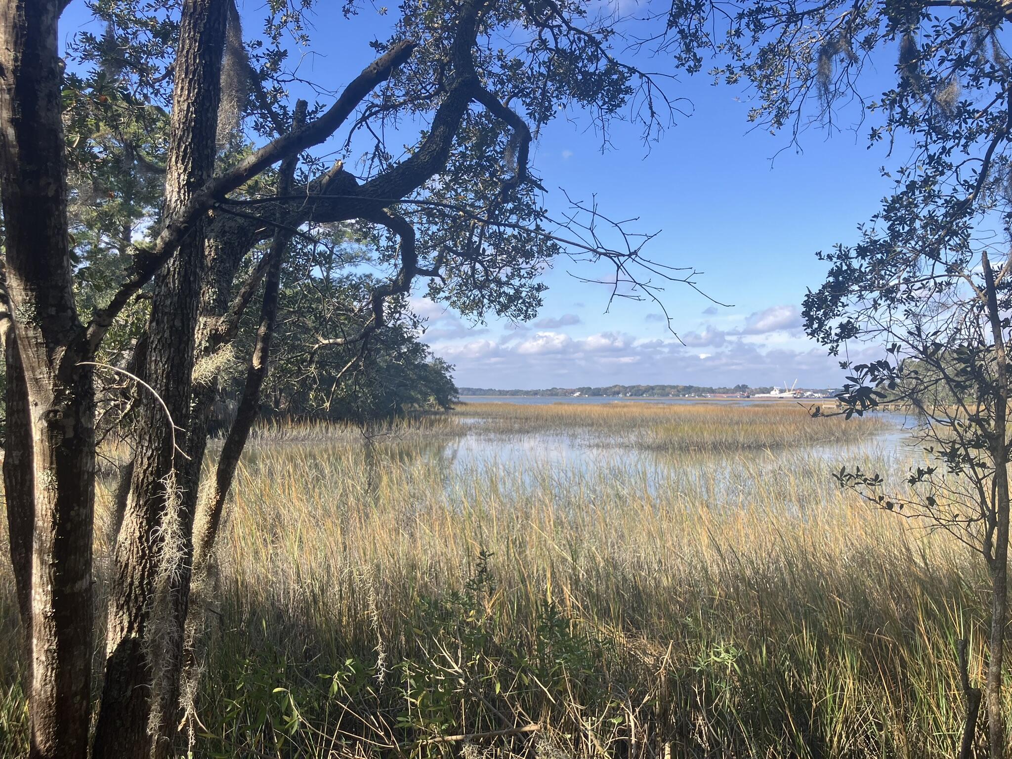 Lot 35 Josie Ridge Wadmalaw Island, SC 29487 - Photo 2 of 19 IMG_7128