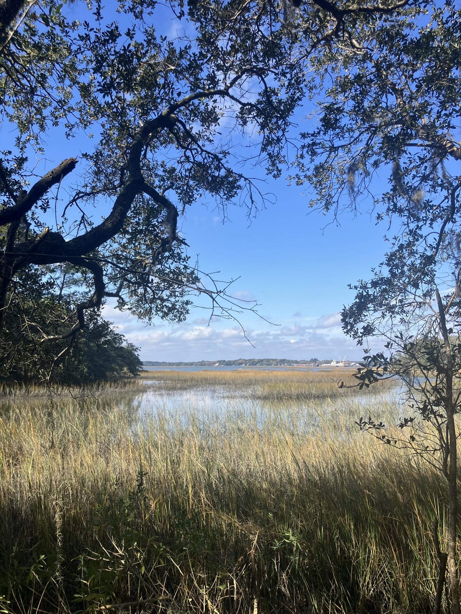 Lot 35 Josie Ridge Wadmalaw Island, SC 29487 - Photo 4 of 19 IMG_7131