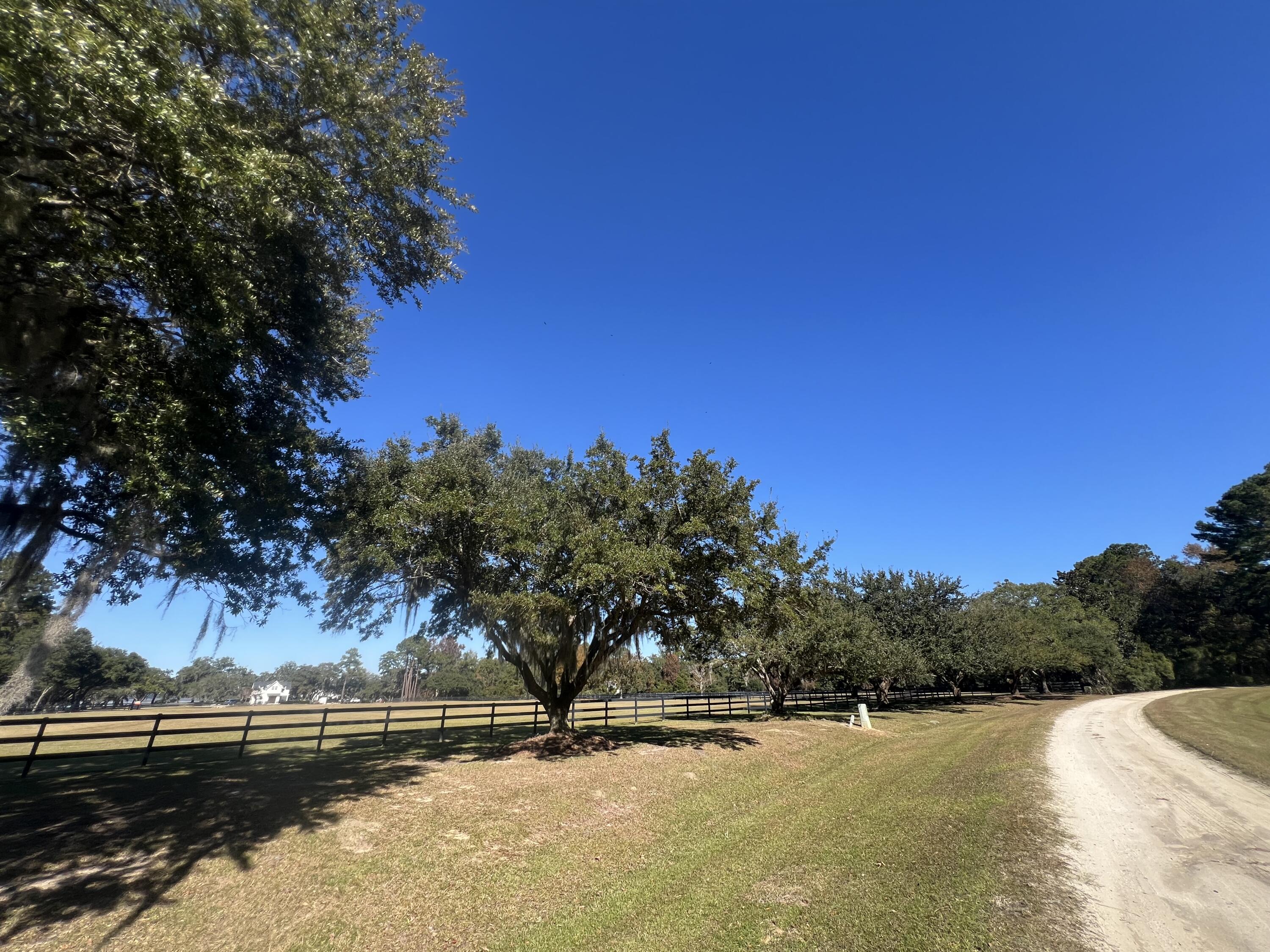 Lot 35 Josie Ridge Wadmalaw Island, SC 29487 - Photo 5 of 19 IMG_3519