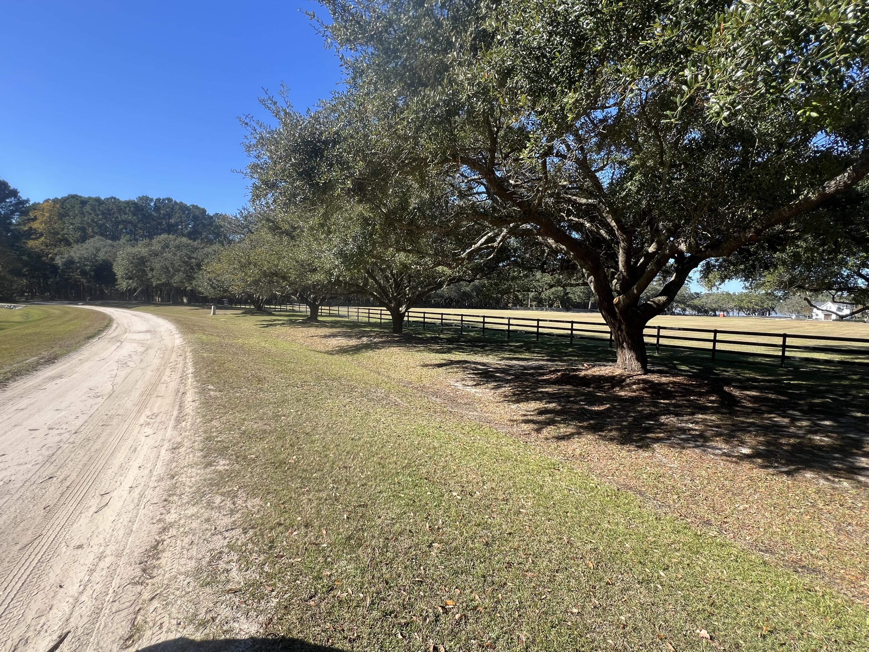 Lot 35 Josie Ridge Wadmalaw Island, SC 29487 - Photo 7 of 19 IMG_3521