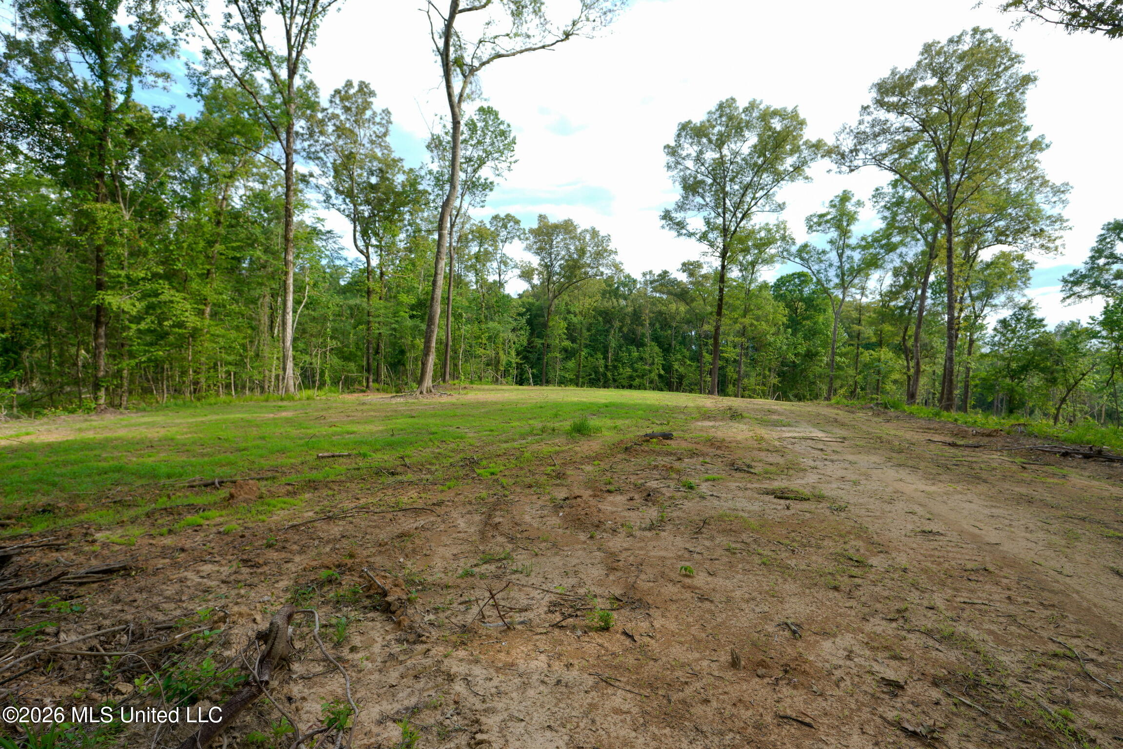 Lorance Road Clinton, MS 39056 - Photo 6 of 25 _DSC5497