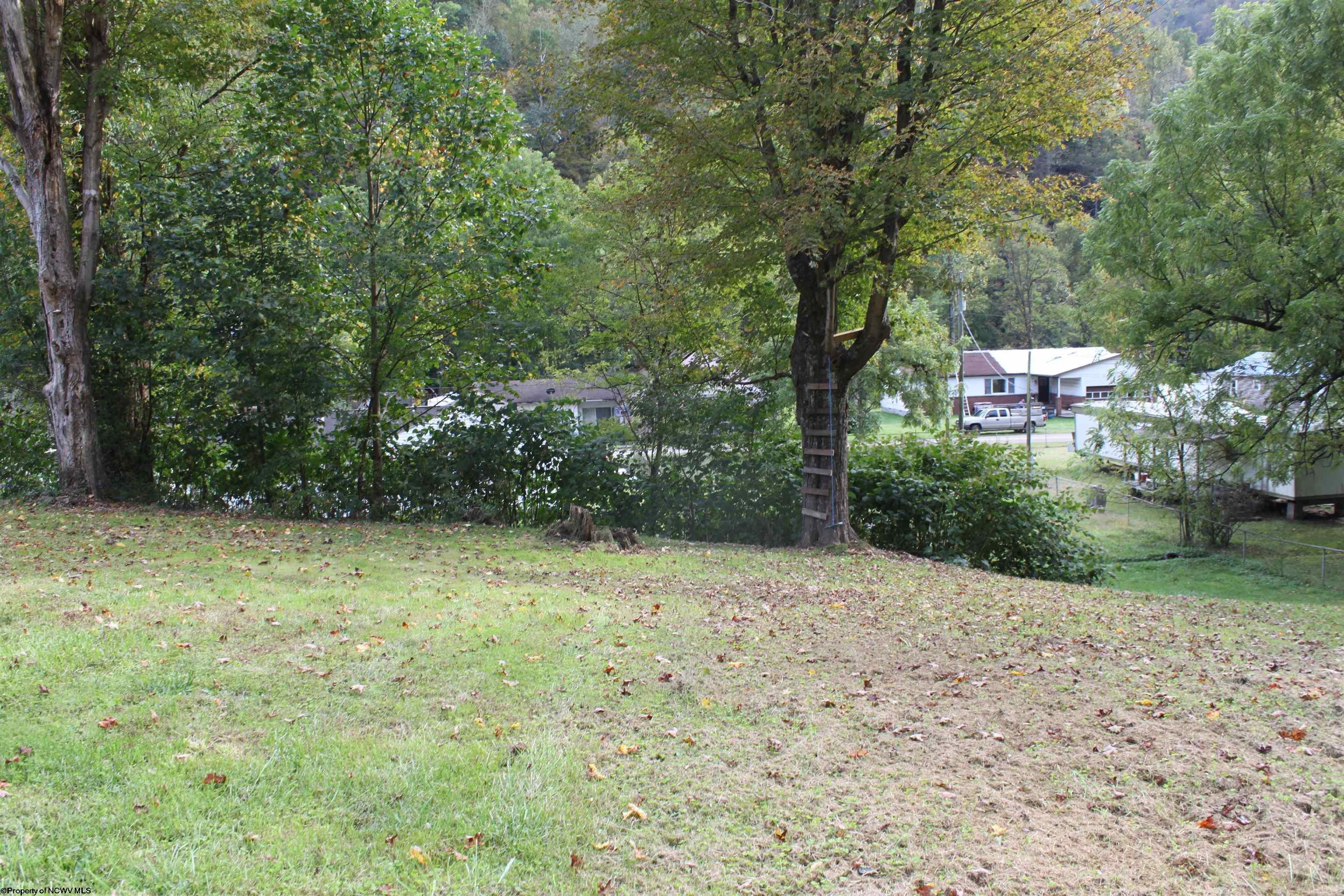 70 Red Bluff Road Webster Springs, WV 26288 - Photo 18 of 26 Gallery Image 18