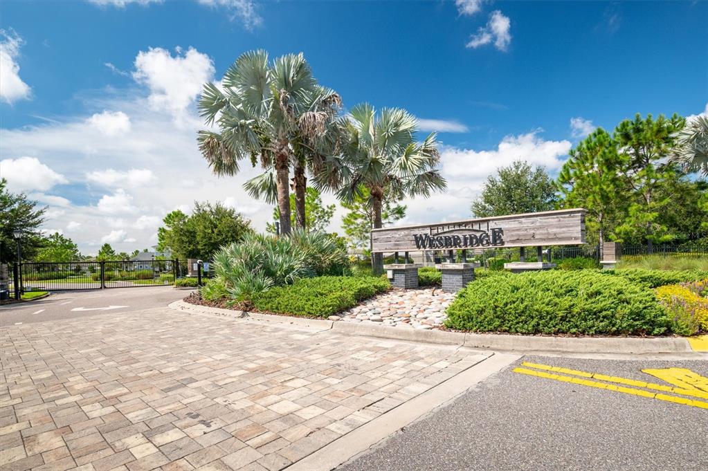 30575 Gilbern Road Wesley Chapel, FL 33545 - Photo 46 of 54 Gallery Image 46