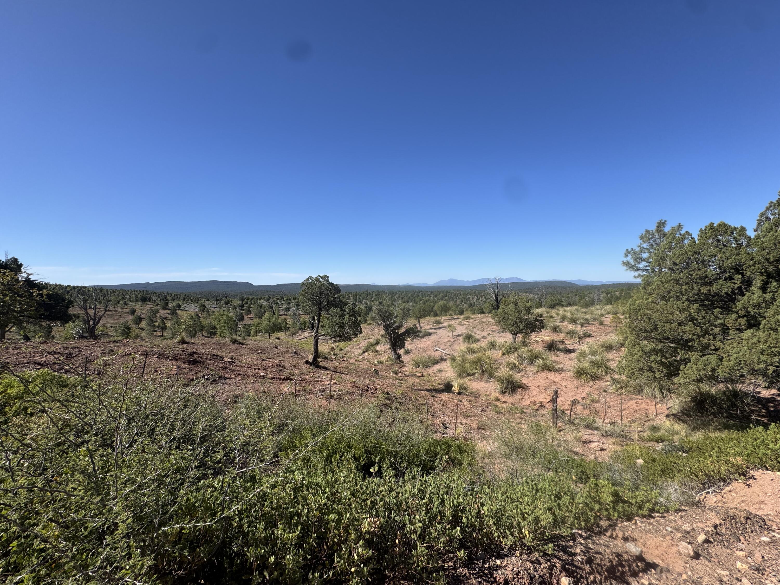 744 Antelope Trail Road Payson, AZ 85541 - Photo 4 of 6 a view of a sky