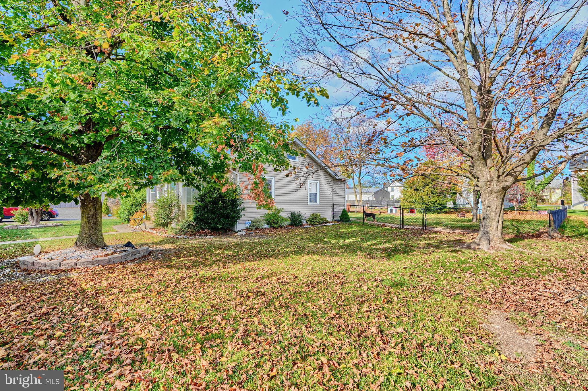 10816 Red Lion Road White Marsh, MD 21162 - Photo 3 of 39 a view of a yard with a house and a large tree