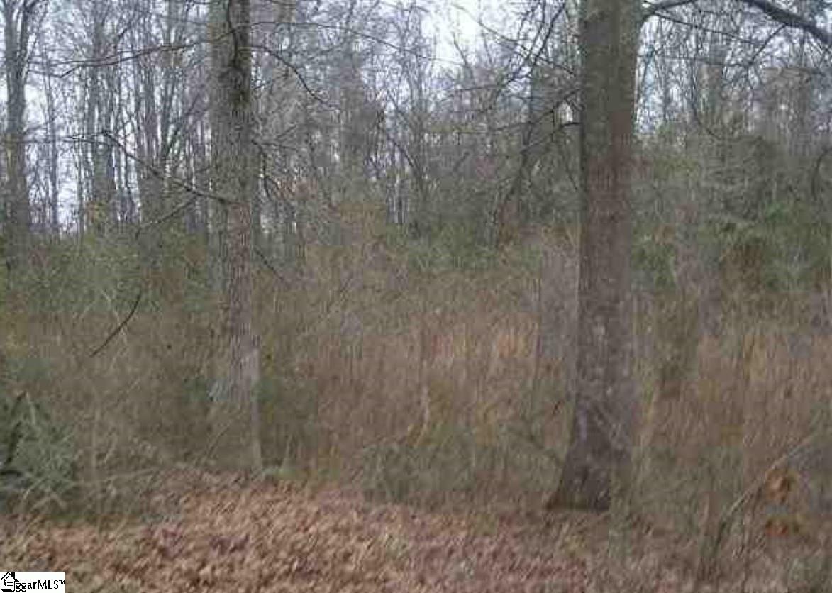 Garrison Road Pelzer, SC 29669 - Photo 2 of 4