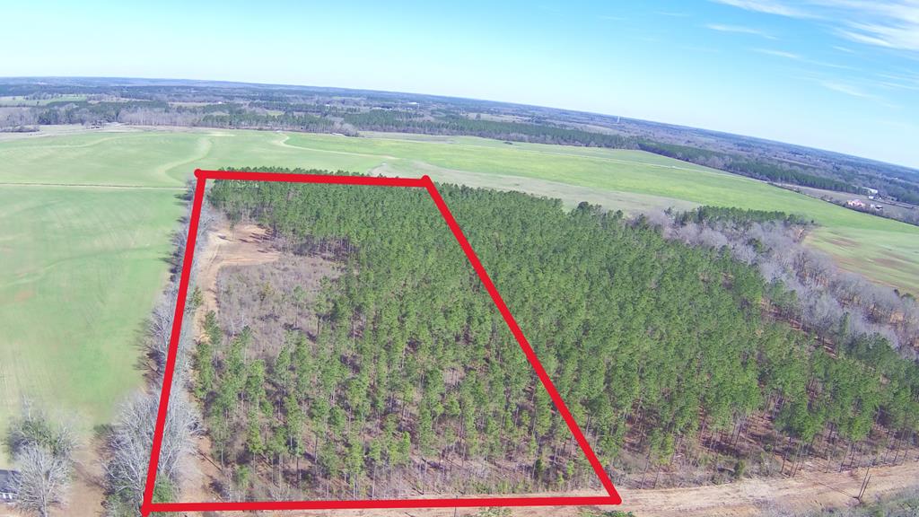 1 Ozark Road Newville, AL 36353 - Photo 1 of 4
