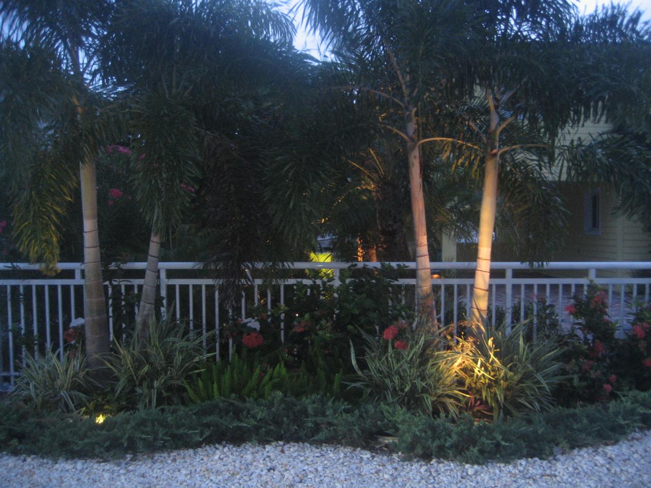 134 Bessie Road Tavernier, FL 33070 - Photo 3 of 26 Lush Garden and night lighting