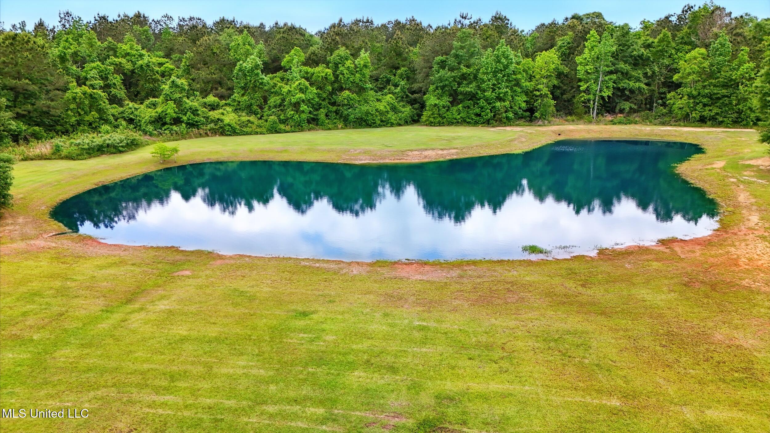 7 Jim Pearson Road Picayune, MS 39466 - Photo 45 of 46 45_pond