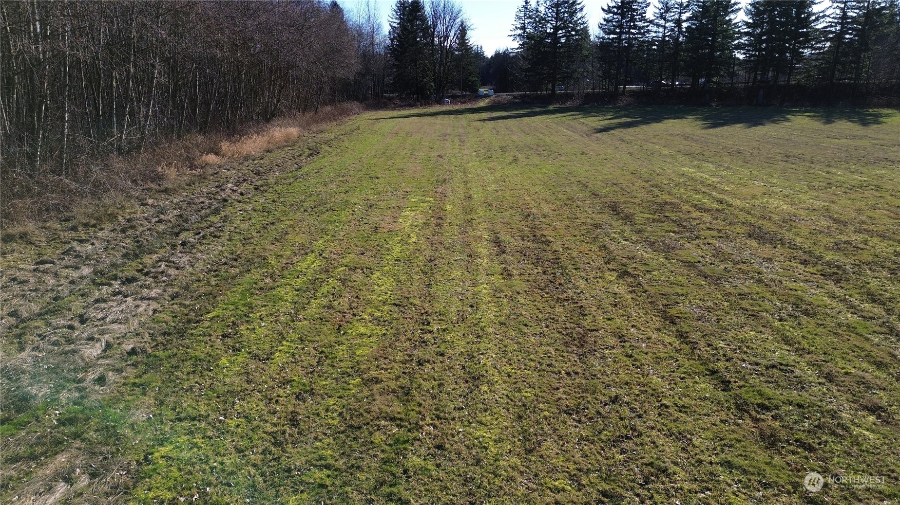 2070 Grandview Road Ferndale, WA 98248 - Photo 4 of 11 a view of a yard