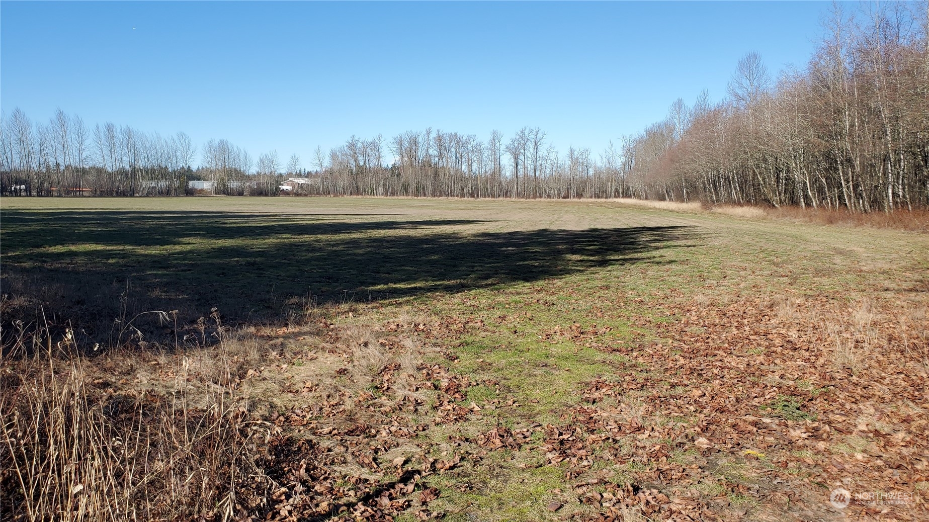 2070 Grandview Road Ferndale, WA 98248 - Photo 5 of 11 a big yard with lots of green space and trees