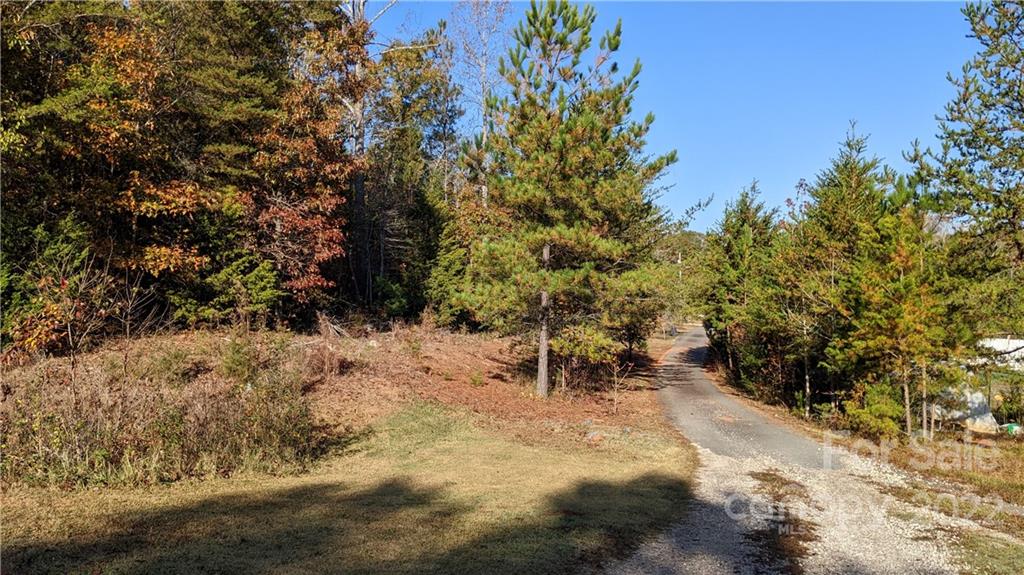 4016 Hoodtown Road Sharon, SC 29742 - Photo 31 of 32 a view of outdoor space with trees