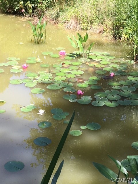 20100 Frog Level Road Ruther Glen, VA 22546 - Photo 4 of 6 a view of ocean