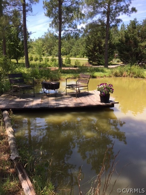 20100 Frog Level Road Ruther Glen, VA 22546 - Photo 5 of 6 a view of a lake with boats and trees